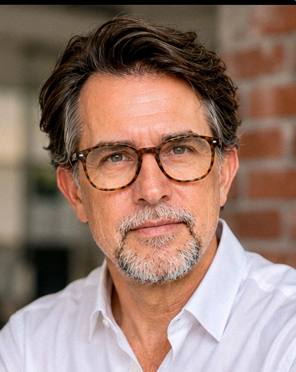 Dr. David L. Harkins